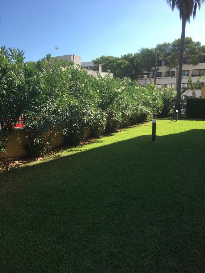 Can Antonia Can Picafort (Mallorca)